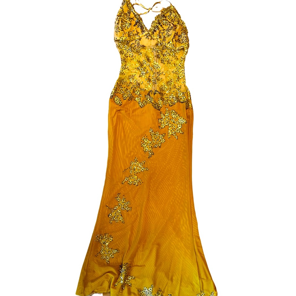 Embroidered Gown.